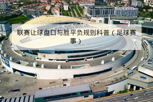 胜平负与总进球盘口术语与风险提示规则科普